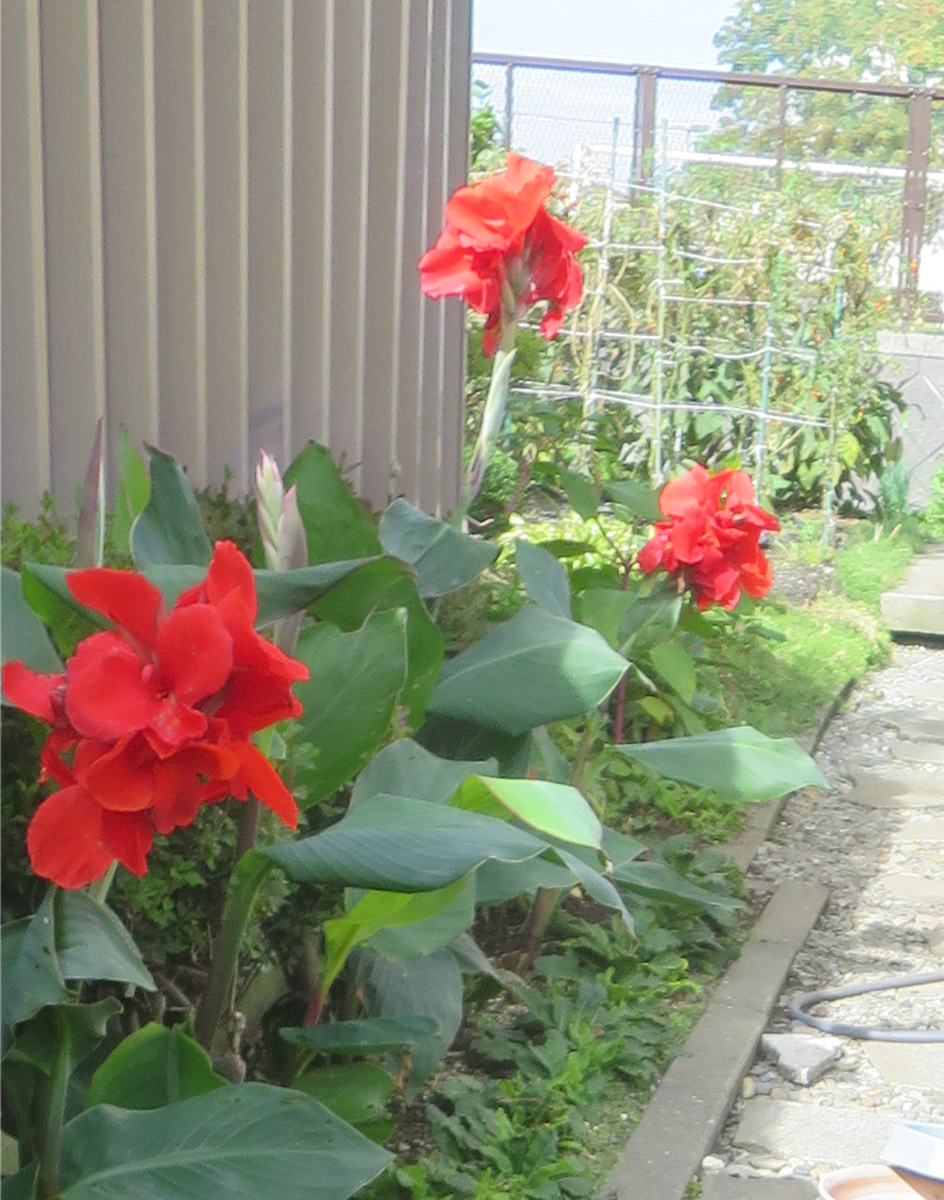 f:id:atarou:20200928064340j:plain