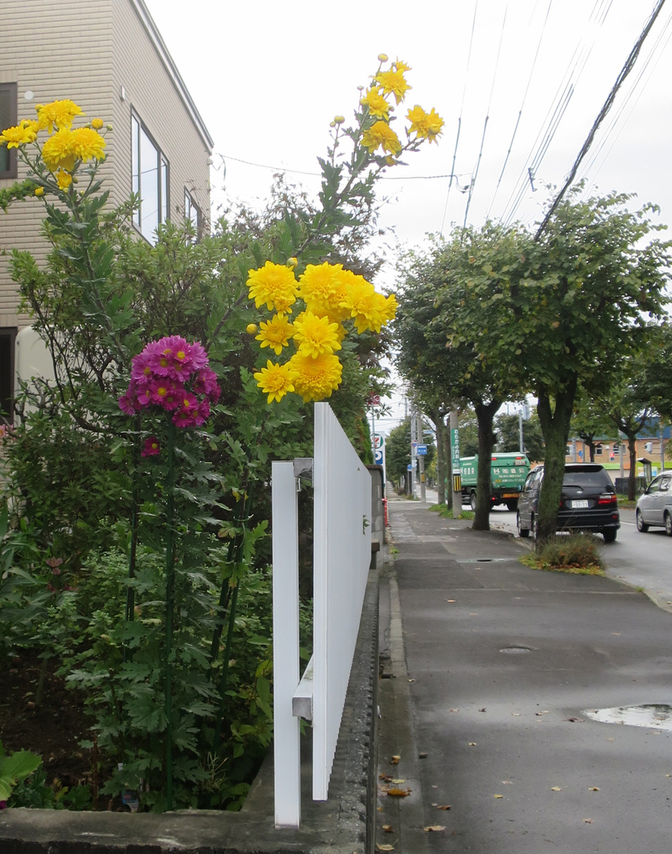 f:id:atarou:20201004062459j:plain f:id:atarou:20201004062459j:plain
