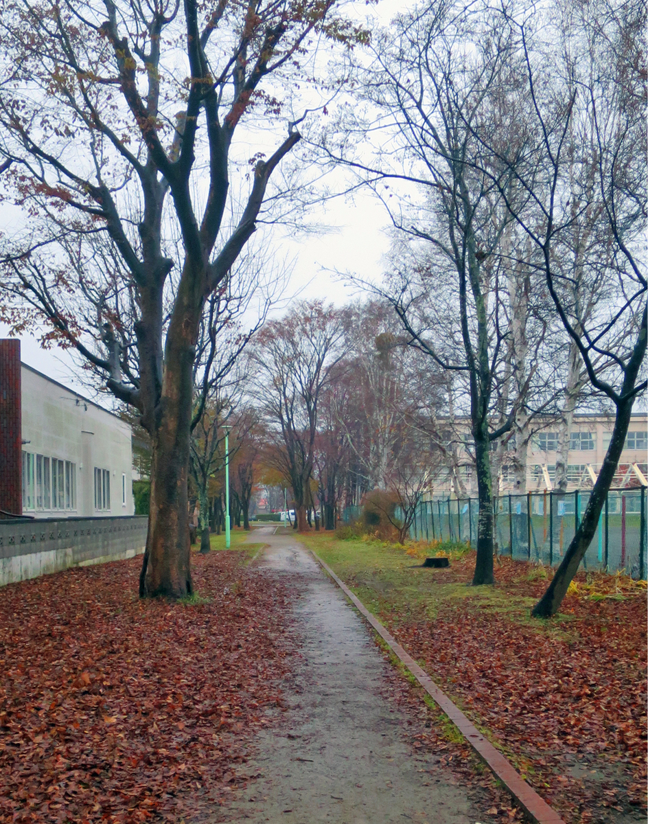 f:id:atarou:20201120064656j:plain