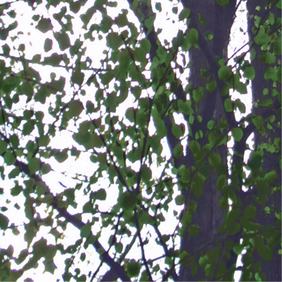 f:id:atarou:20210502162540j:plain