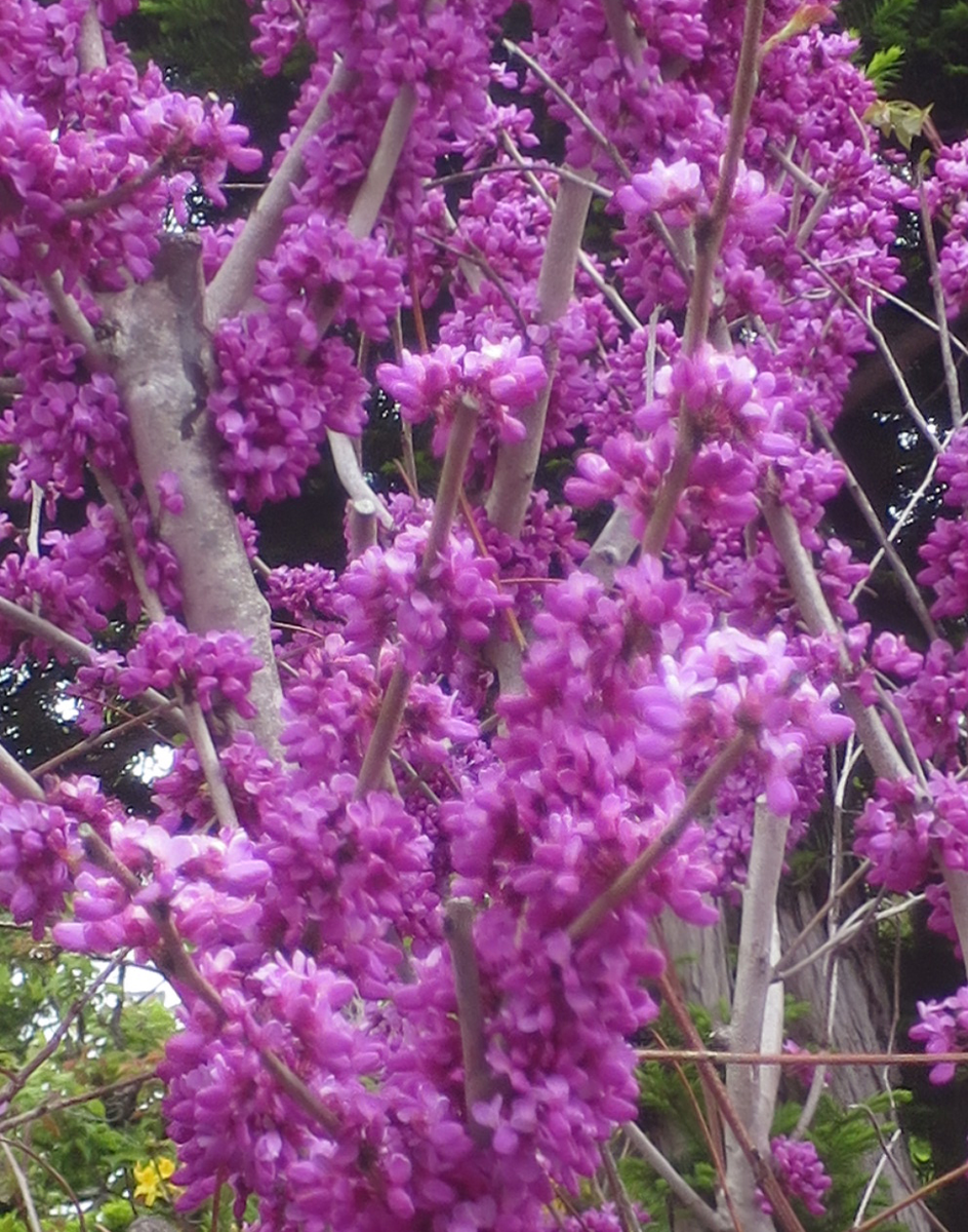 f:id:atarou:20210528090408p:plain