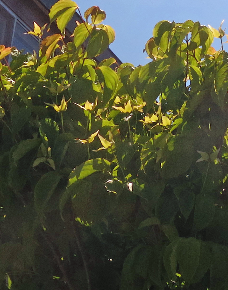 f:id:atarou:20210607055002p:plain