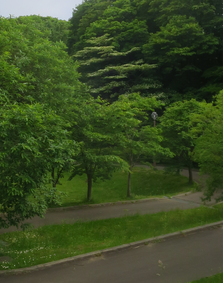 f:id:atarou:20210609065346p:plain