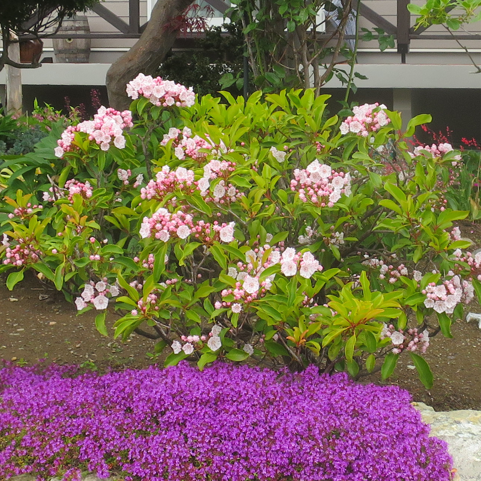 f:id:atarou:20210621062011p:plain