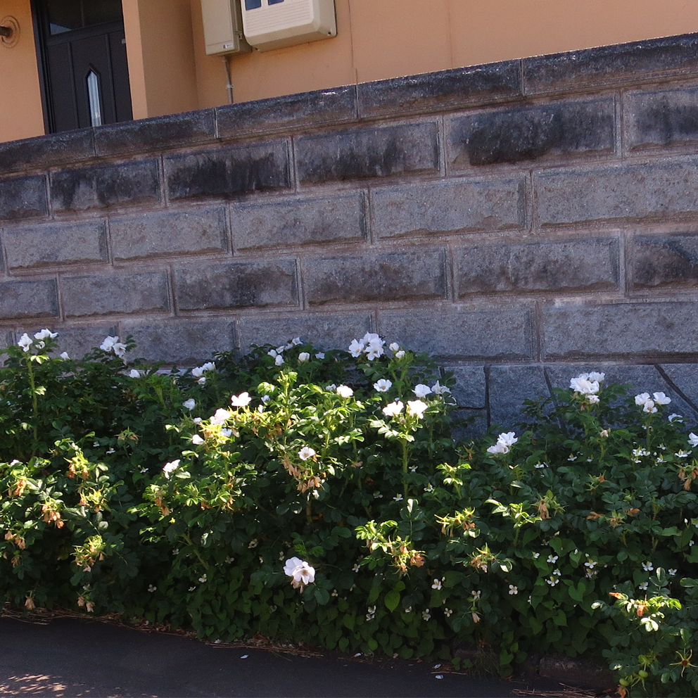 f:id:atarou:20210704065352p:plain