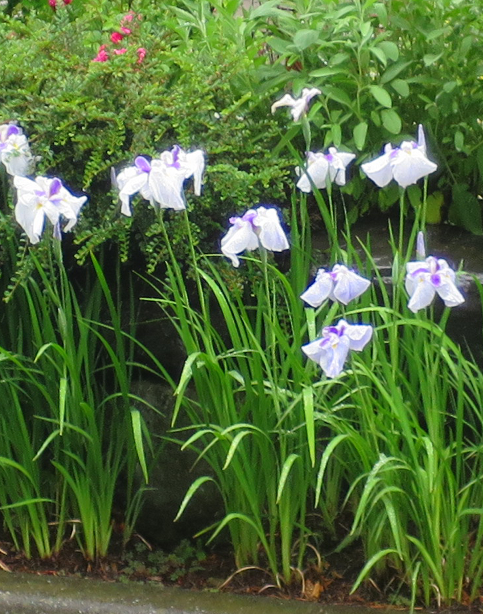 f:id:atarou:20210706065110p:plain