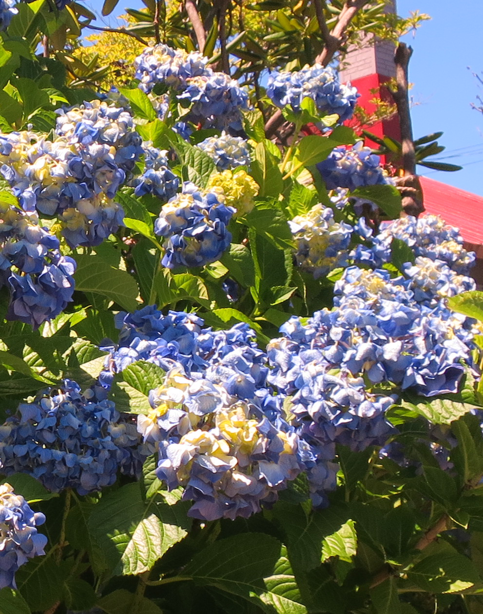 f:id:atarou:20210720062948p:plain