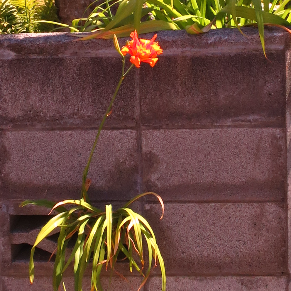 f:id:atarou:20210720064757p:plain