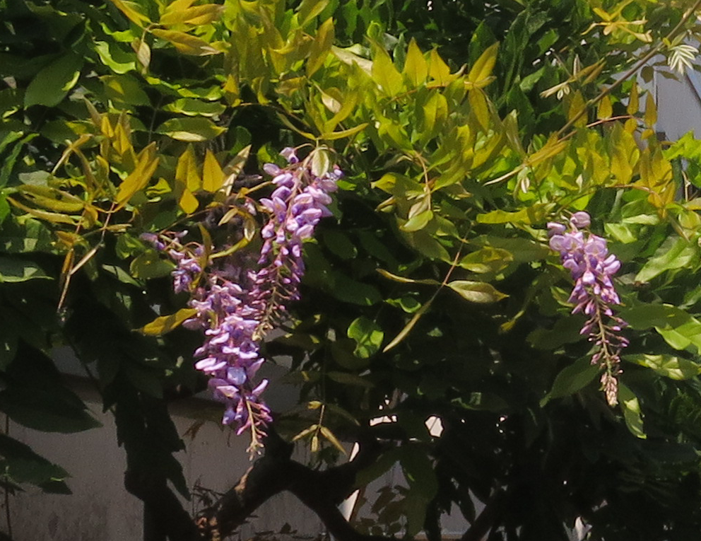 f:id:atarou:20210721062043p:plain