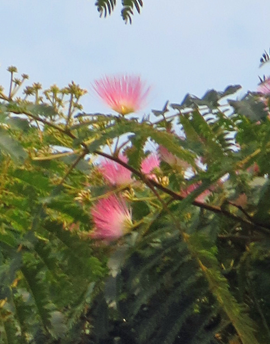 f:id:atarou:20210723062525p:plain