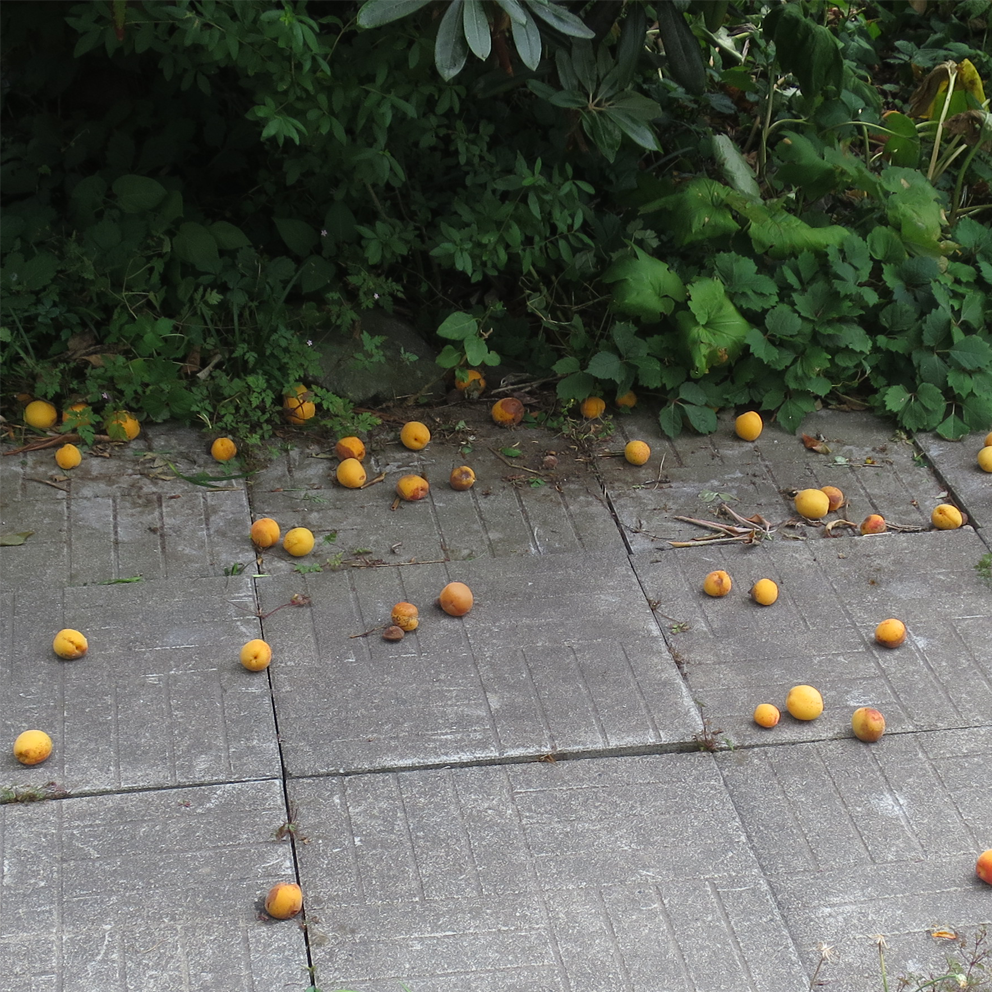 f:id:atarou:20210804060139p:plain