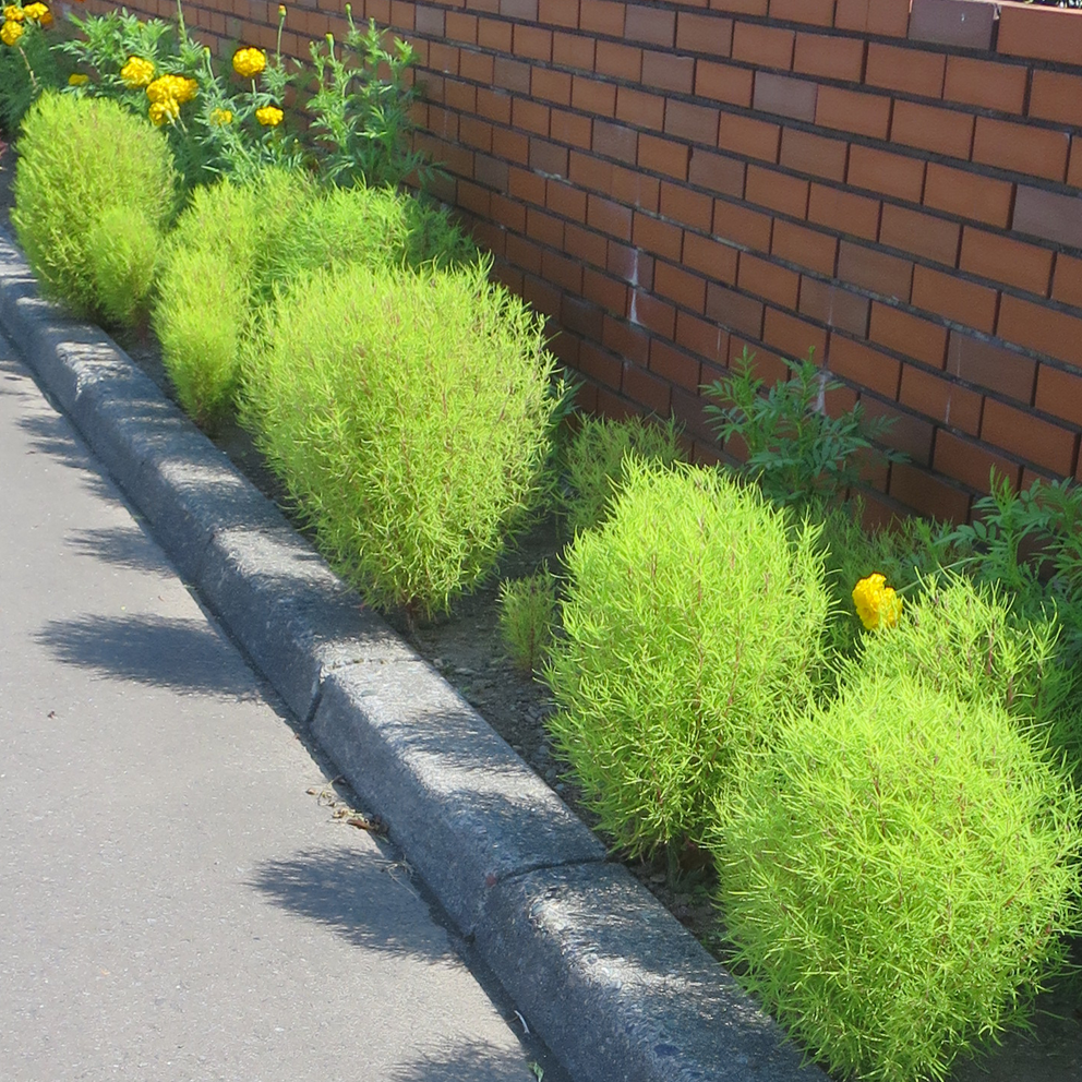 f:id:atarou:20210912062225p:plain