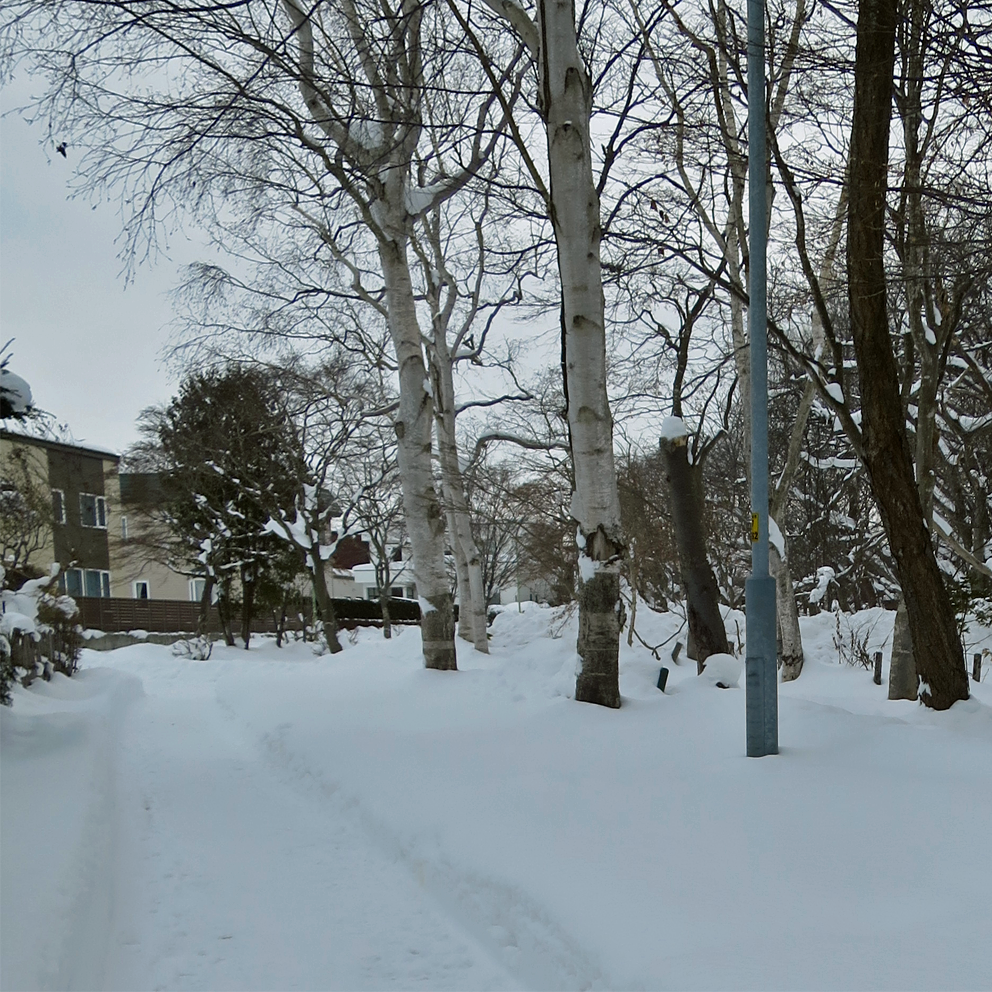 f:id:atarou:20220112063008p:plain
