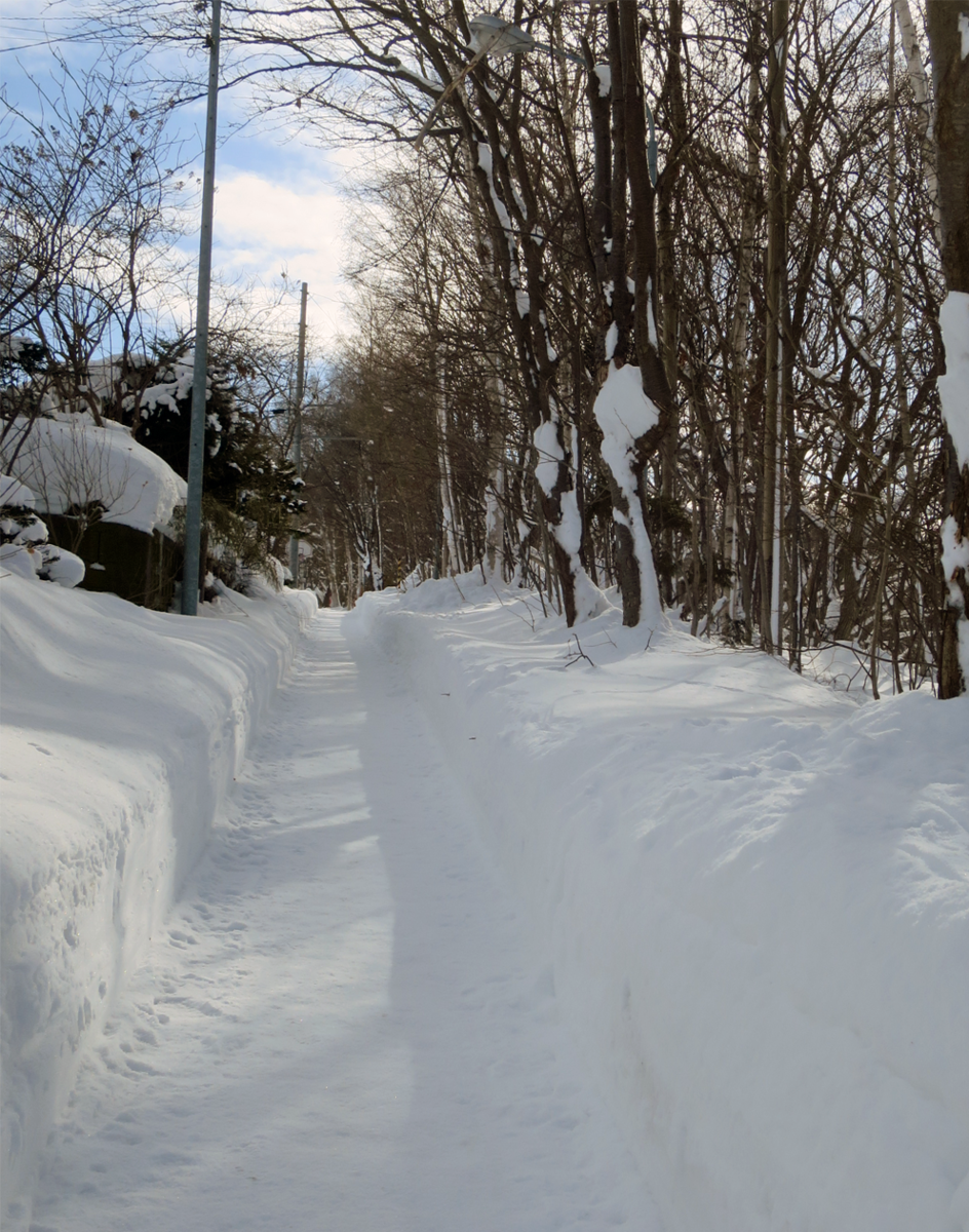 f:id:atarou:20220122062523p:plain