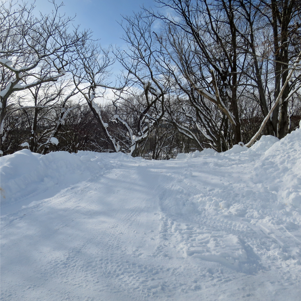 f:id:atarou:20220122062647p:plain