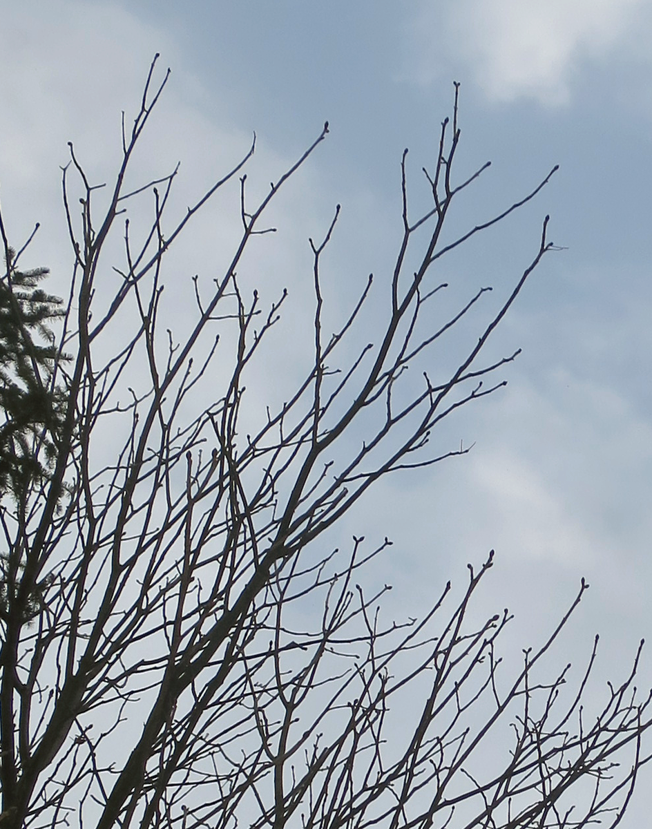 f:id:atarou:20220226053556p:plain