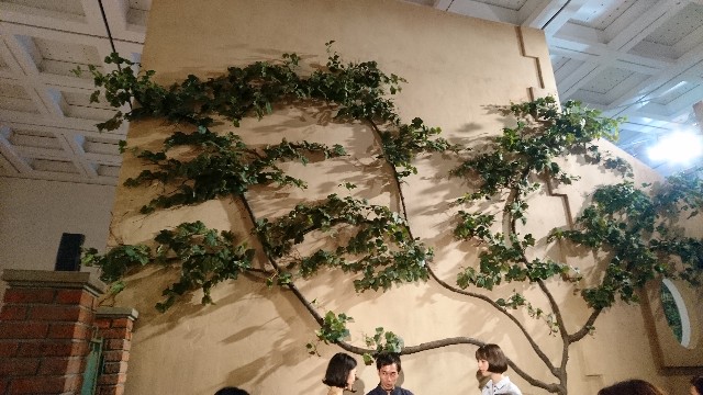 f:id:atashi9:20180727195807j:image