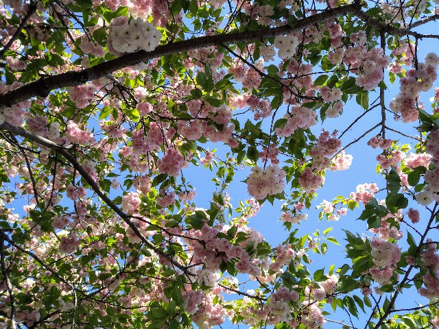 f:id:atashi9:20250429234754j:image f:id:atashi9:20250429234754j:image