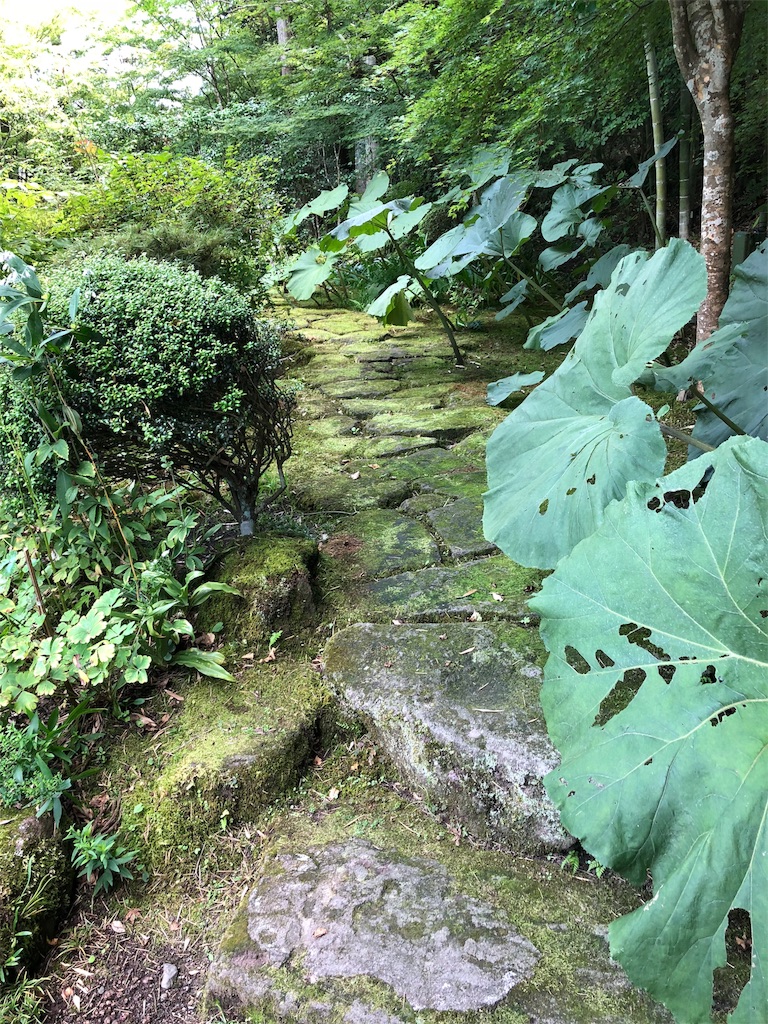 f:id:atau145:20190901144536j:image f:id:atau145:20190901144536j:image