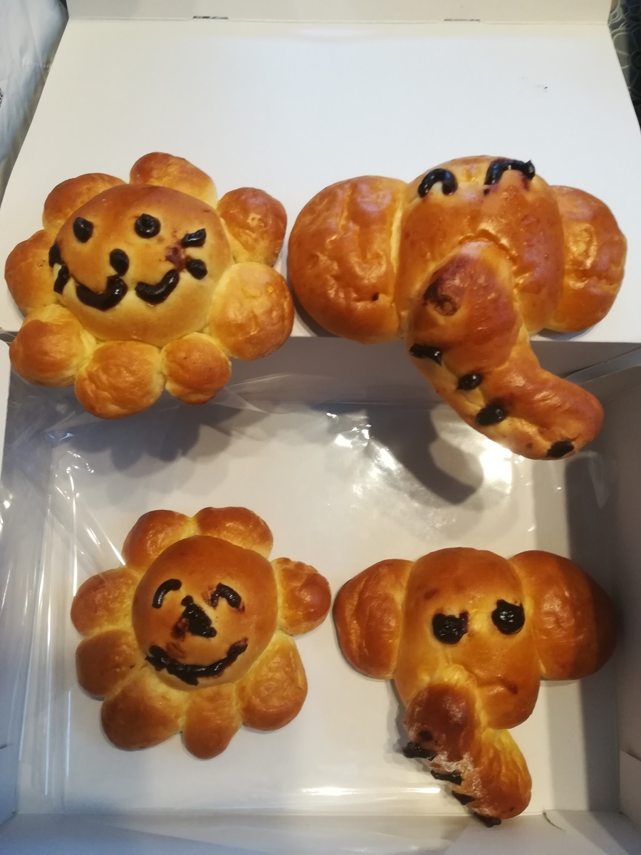 ドンク親子パン教室　ぞうさんとライオンさんのパン