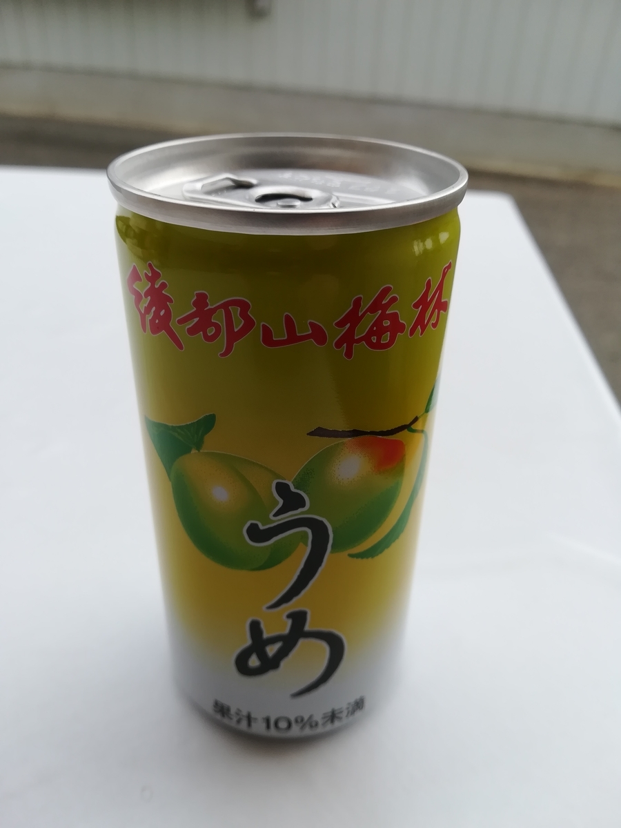 f:id:atchanyuichan:20200307135719j:plain