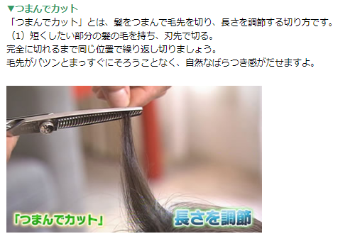 「つまんでカット」