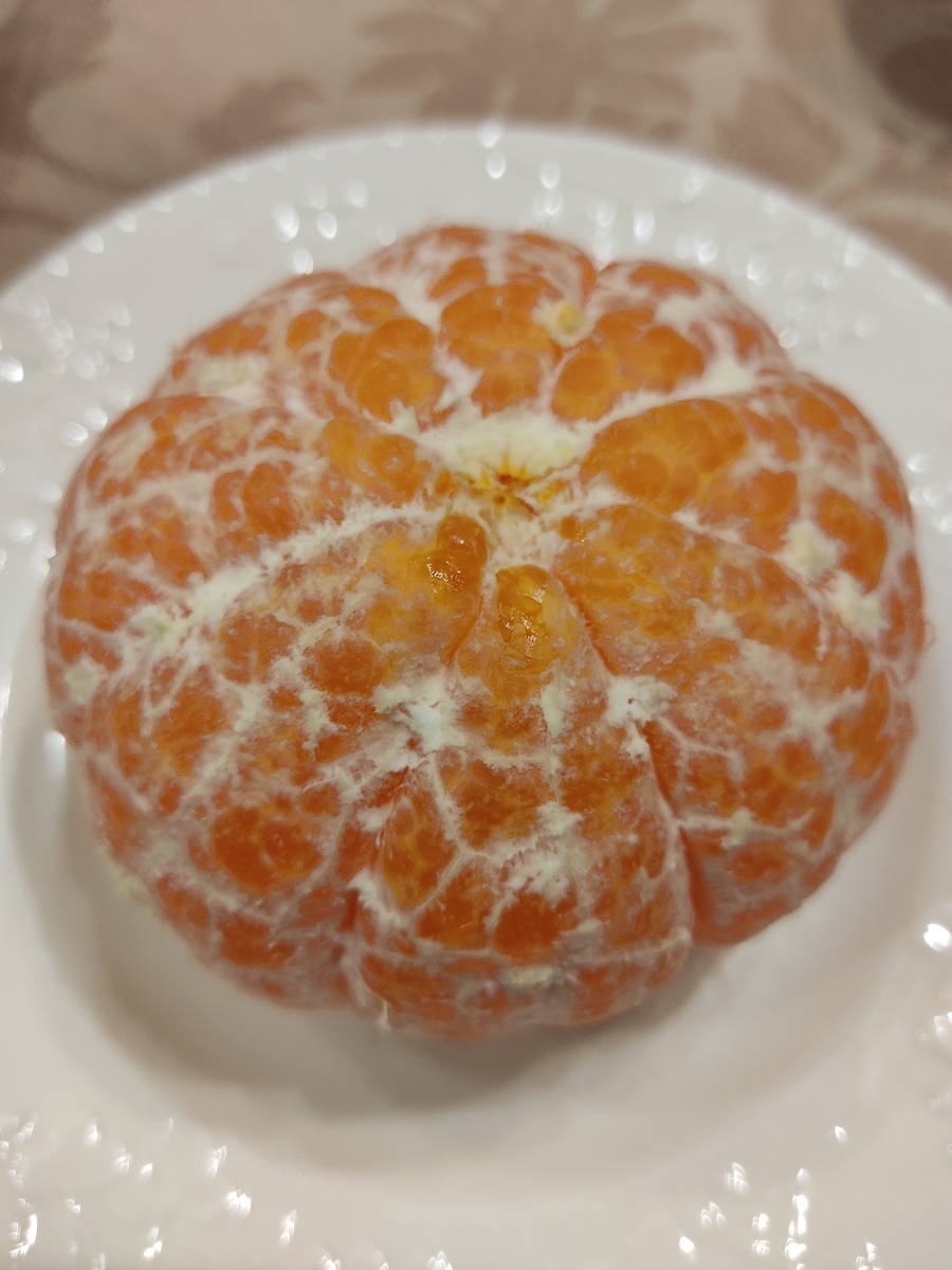 f:id:atchanyuichan:20210212193002j:plain