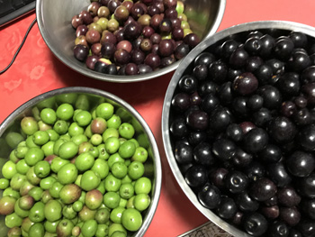 f:id:atelier-agen:20161026022714j:plain