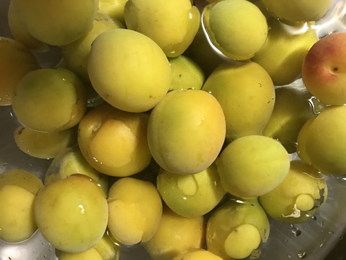 f:id:atelier-agen:20180618113626j:plain f:id:atelier-agen:20180618113626j:plain