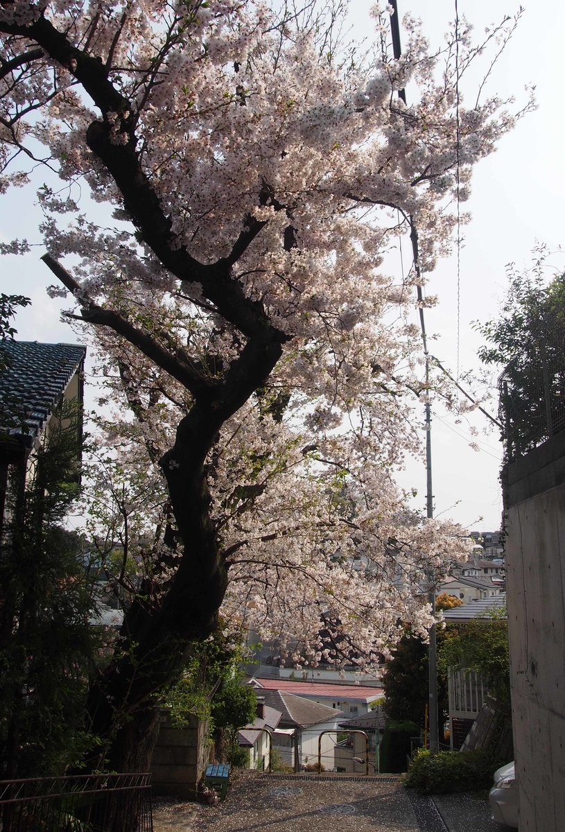 f:id:atelier-maan:20190407150201j:plain