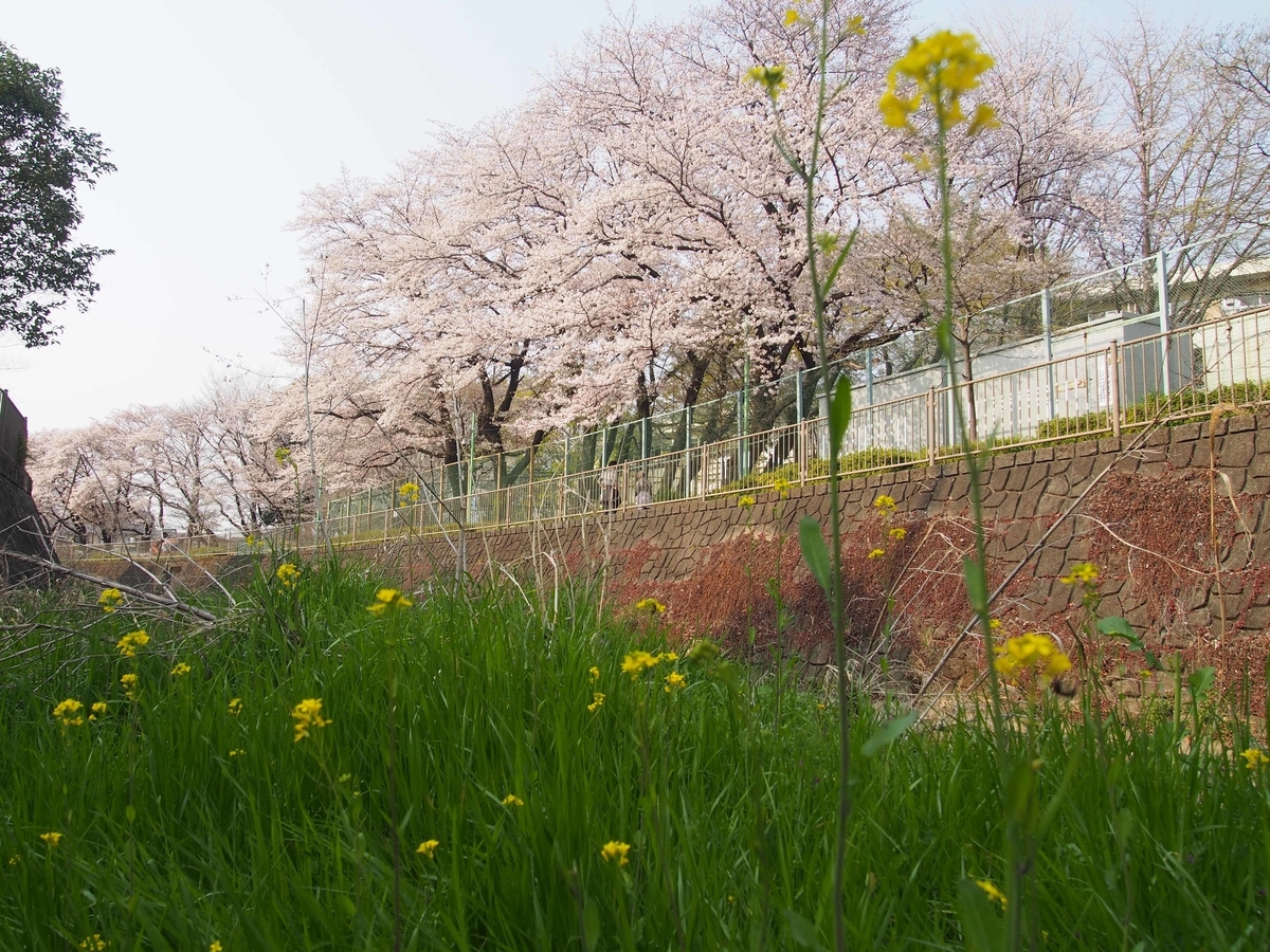 f:id:atelier-maan:20190407161055j:plain