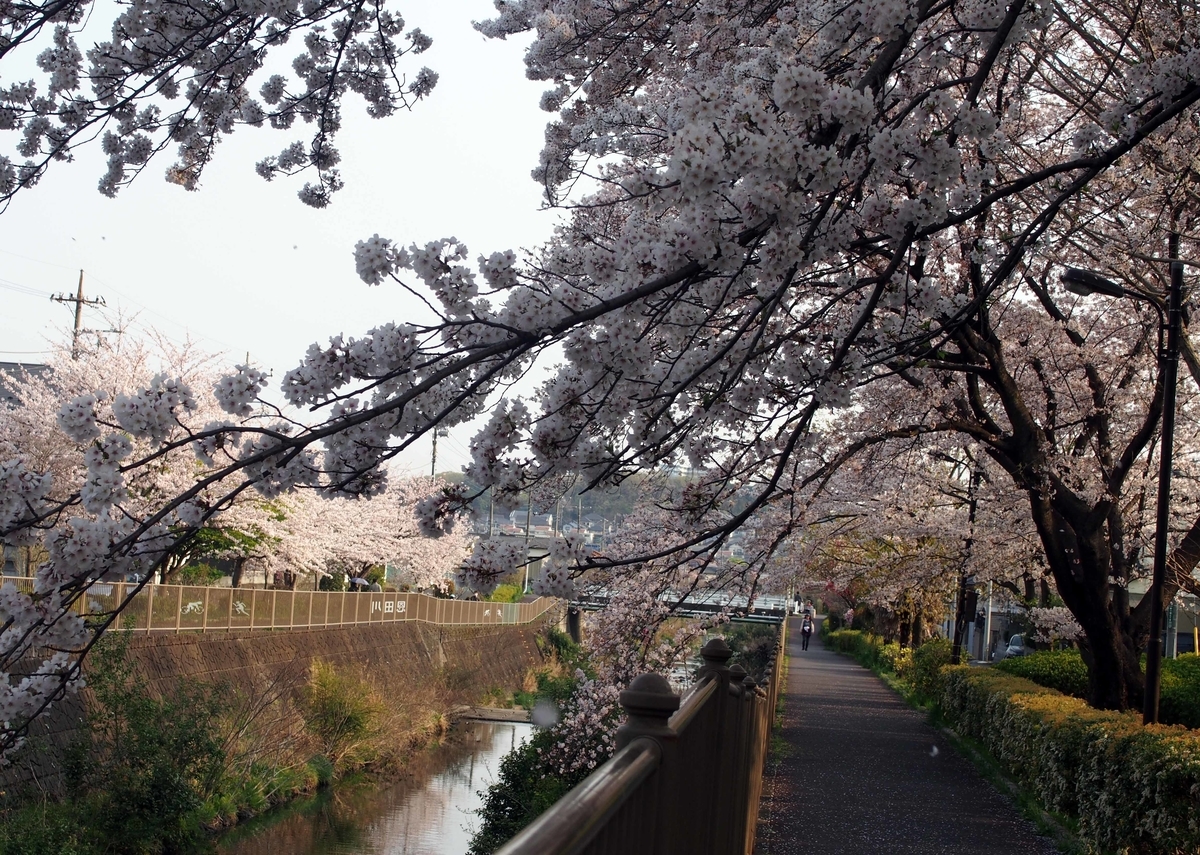 f:id:atelier-maan:20190407163858j:plain