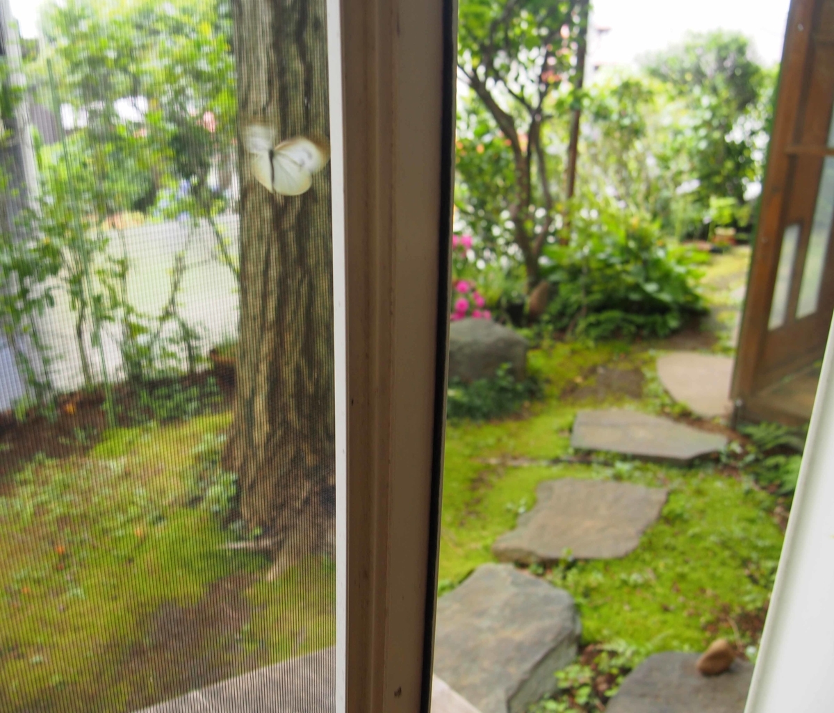f:id:atelier-maan:20190703101126j:plain