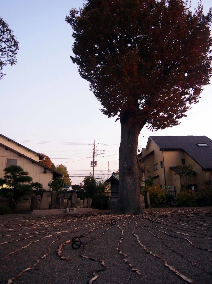 f:id:atelier-maan:20191115172853j:plain