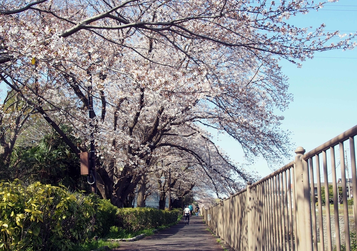 f:id:atelier-maan:20200326145930j:plain