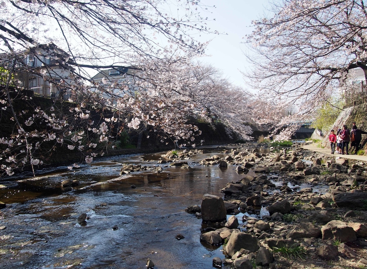 f:id:atelier-maan:20200326151330j:plain