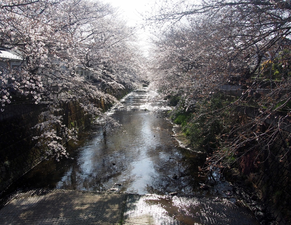 f:id:atelier-maan:20200326153743j:plain
