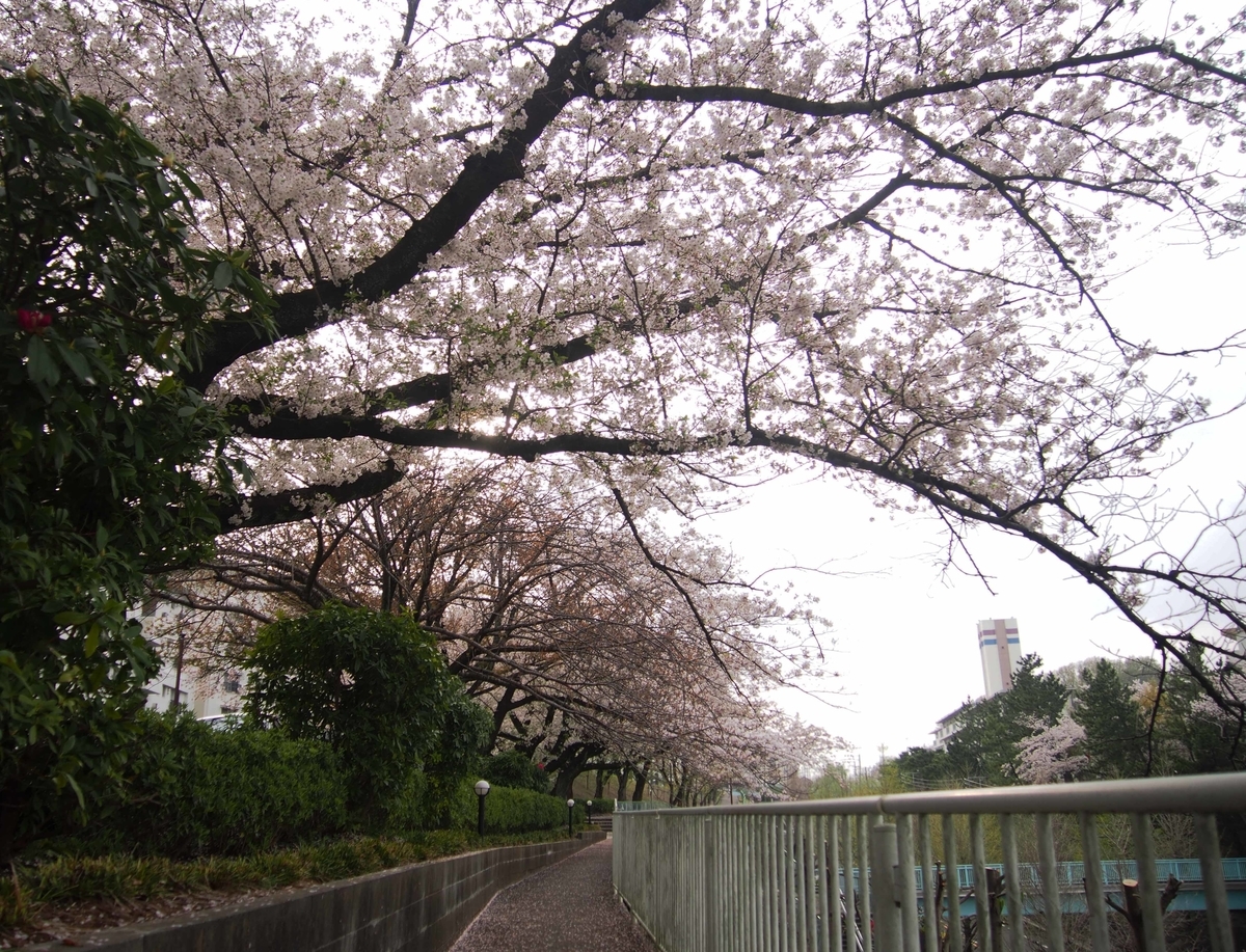 f:id:atelier-maan:20210330170428j:plain