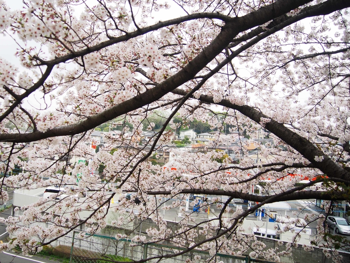 f:id:atelier-maan:20210330171500j:plain