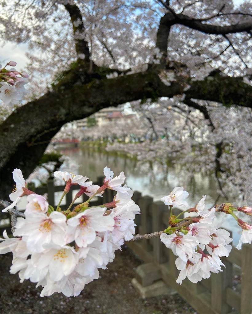 f:id:atelier-mihoppe:20230328201212j:image