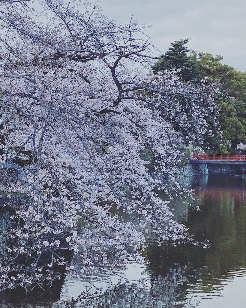 f:id:atelier-mihoppe:20230328201221j:image