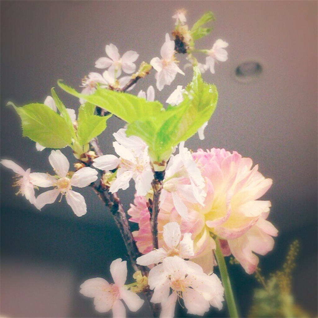 f:id:atelier_yu2525:20170130200532j:image f:id:atelier_yu2525:20170130200532j:image