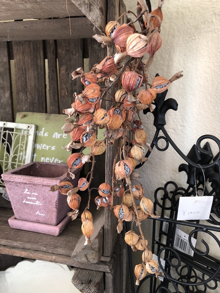 f:id:ateliercororon:20181031013208j:plain f:id:ateliercororon:20181031013208j:plain