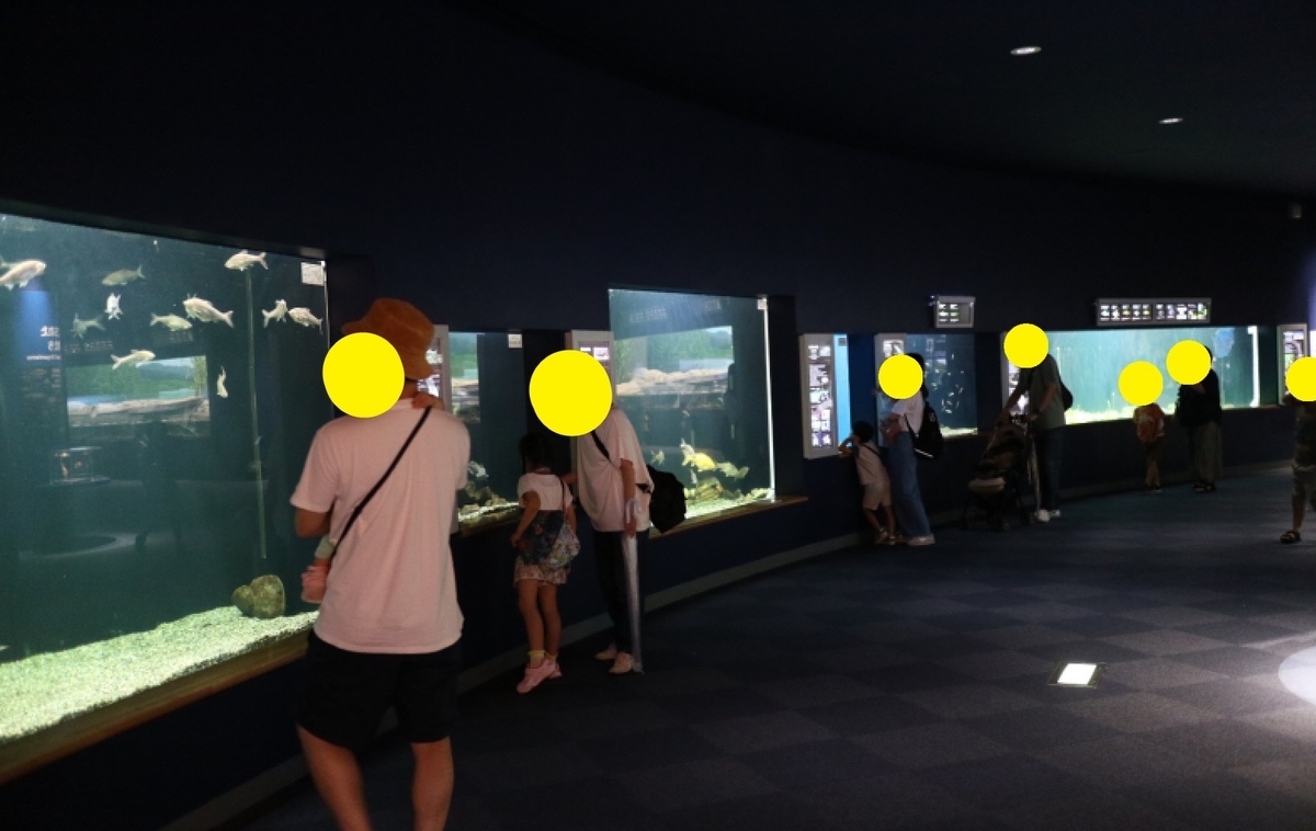 水族展示室