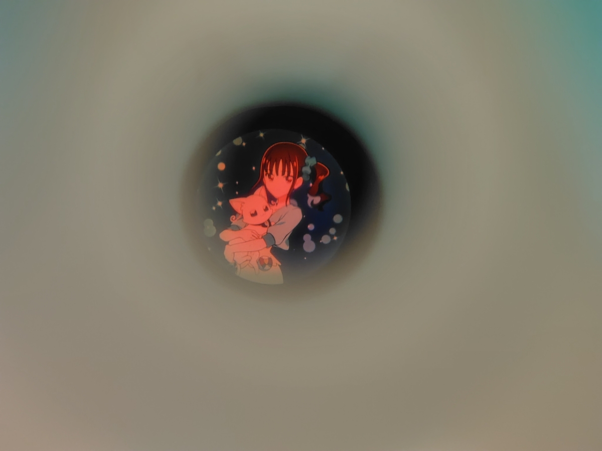 のぞいてみたらこんなかんじです