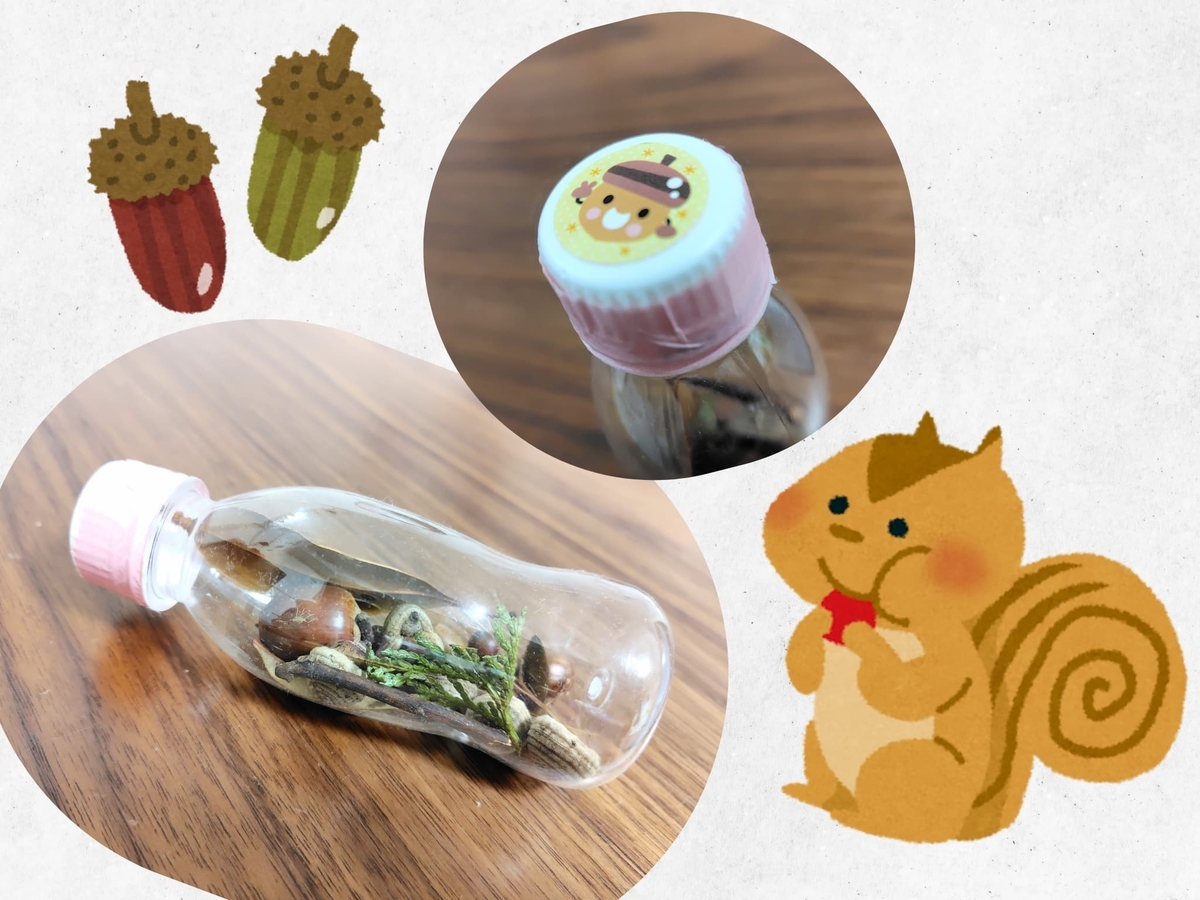 どんぐりマラカス
