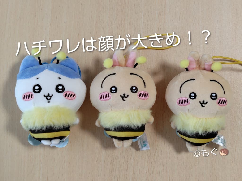 ちいかわハチさんぬいぐるみ　各キャラのサイズ比較　ハチワレが大きい