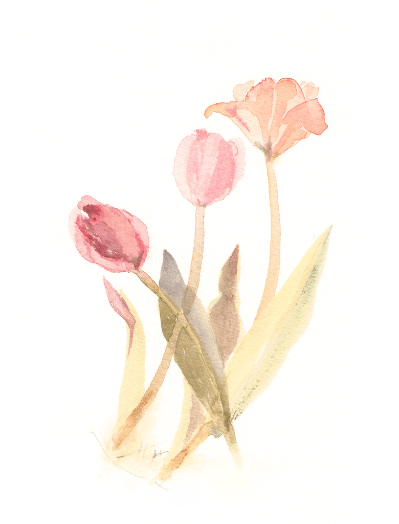 f:id:ateliersalvador:20190214124442p:plain f:id:ateliersalvador:20190214124442p:plain