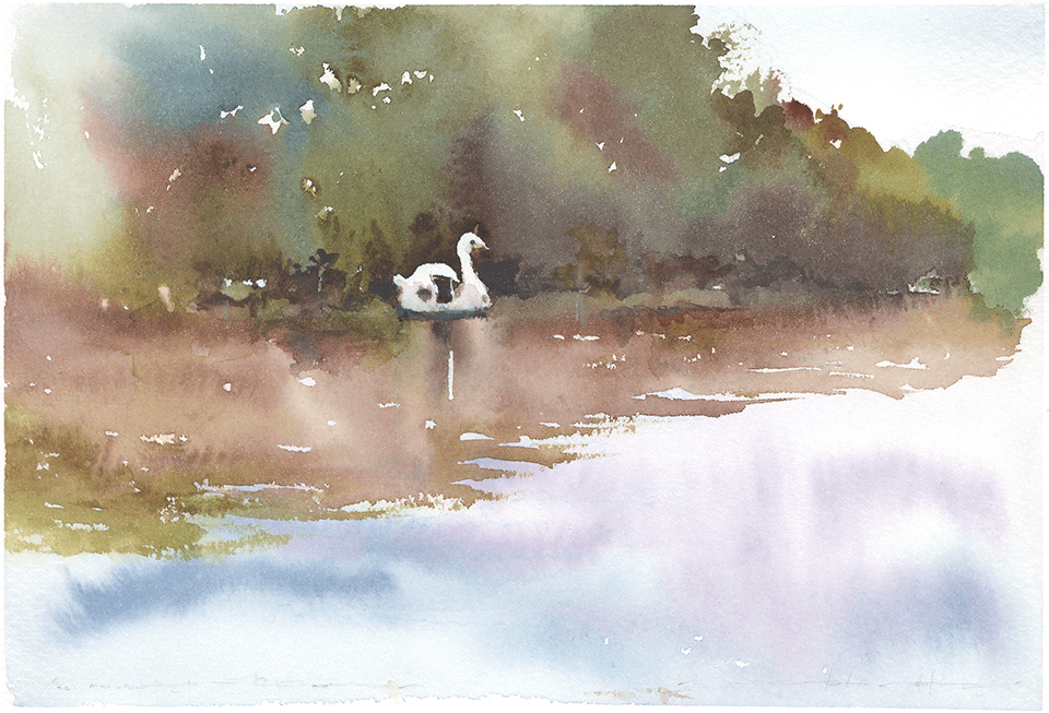 井の頭公園 ますとみけいのblog 井の頭公園 ますとみけいのblog