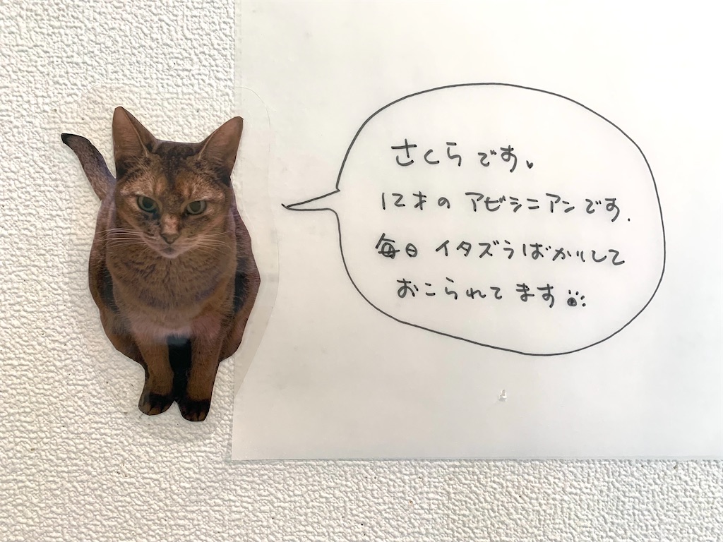 f:id:ateliersoleil:20220404195648j:image f:id:ateliersoleil:20220404195648j:image